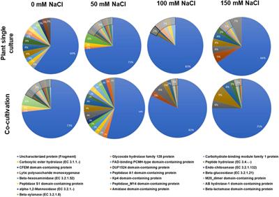 Comparative Secretome Analyses of Trichoderma/Arabidopsis Co-cultures Identify Proteins for Salt Stress, Plant Growth Promotion, and Root Colonization